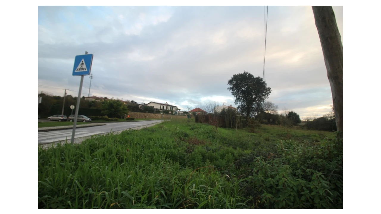 Terreno para Venda em Pereira Foto 10