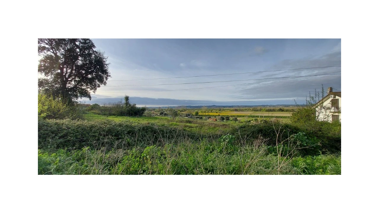 Terreno para Venda em Pereira Foto 4