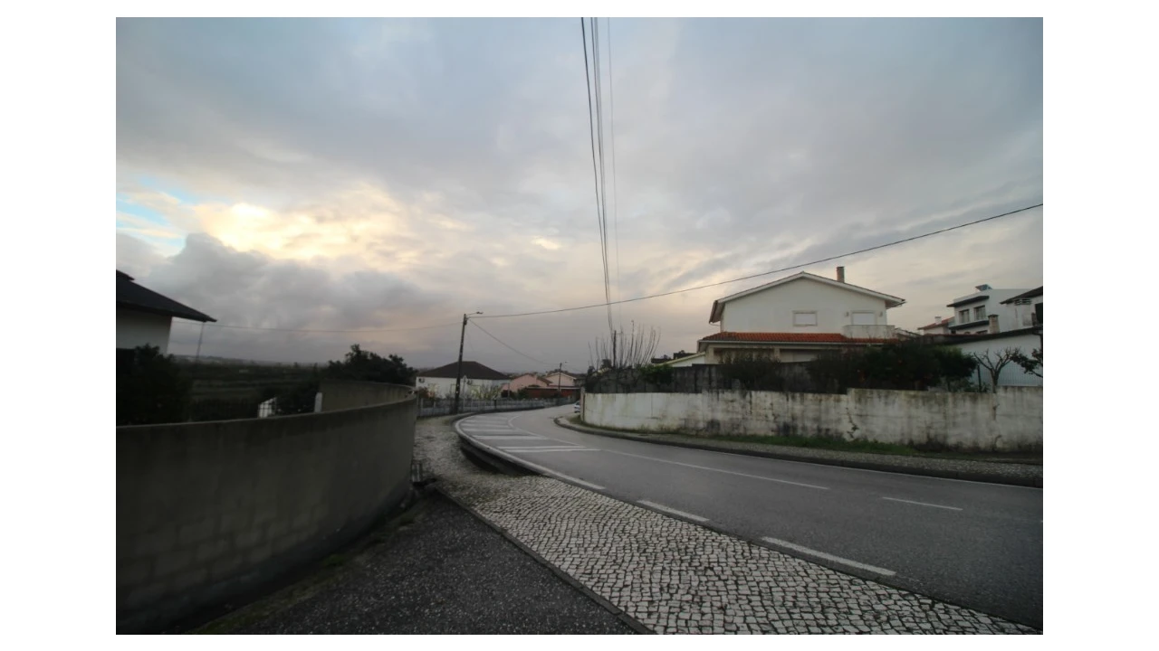 Terreno para Venda em Pereira Foto 11