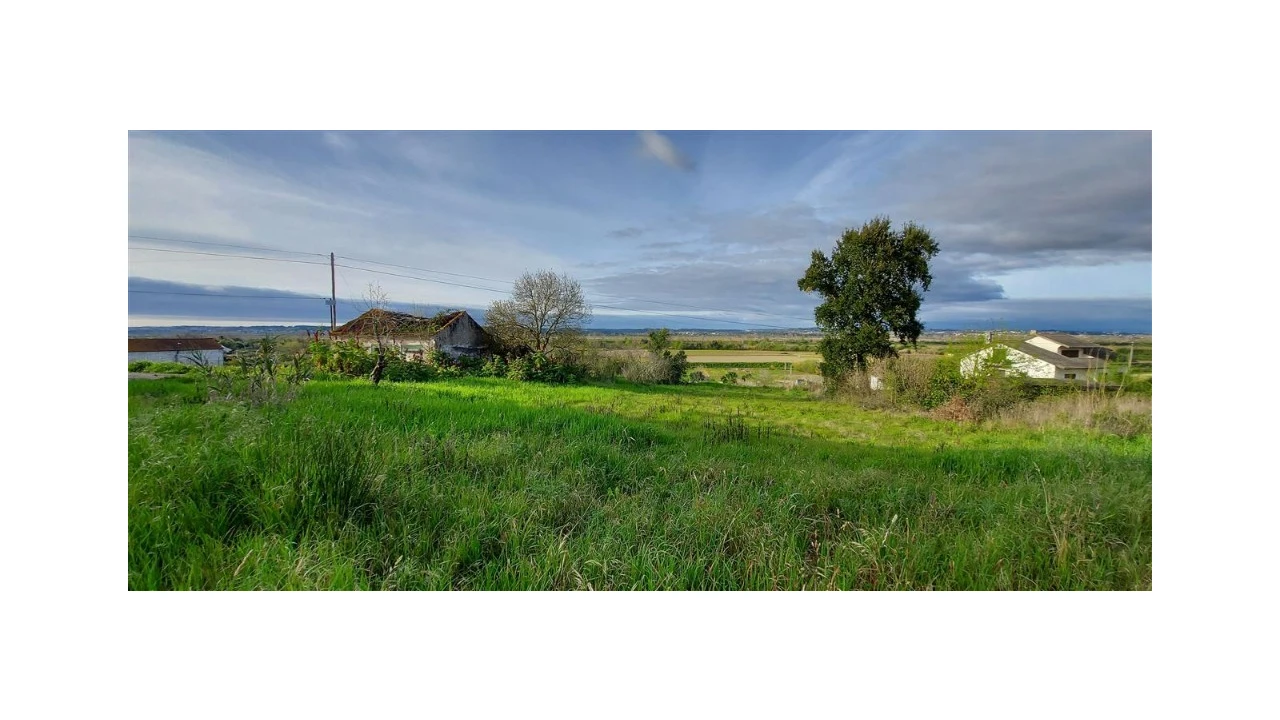 Terreno para Venda em Pereira Foto 6
