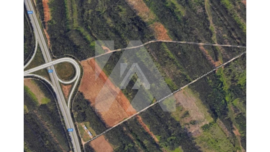 Terreno para Venda em Valega