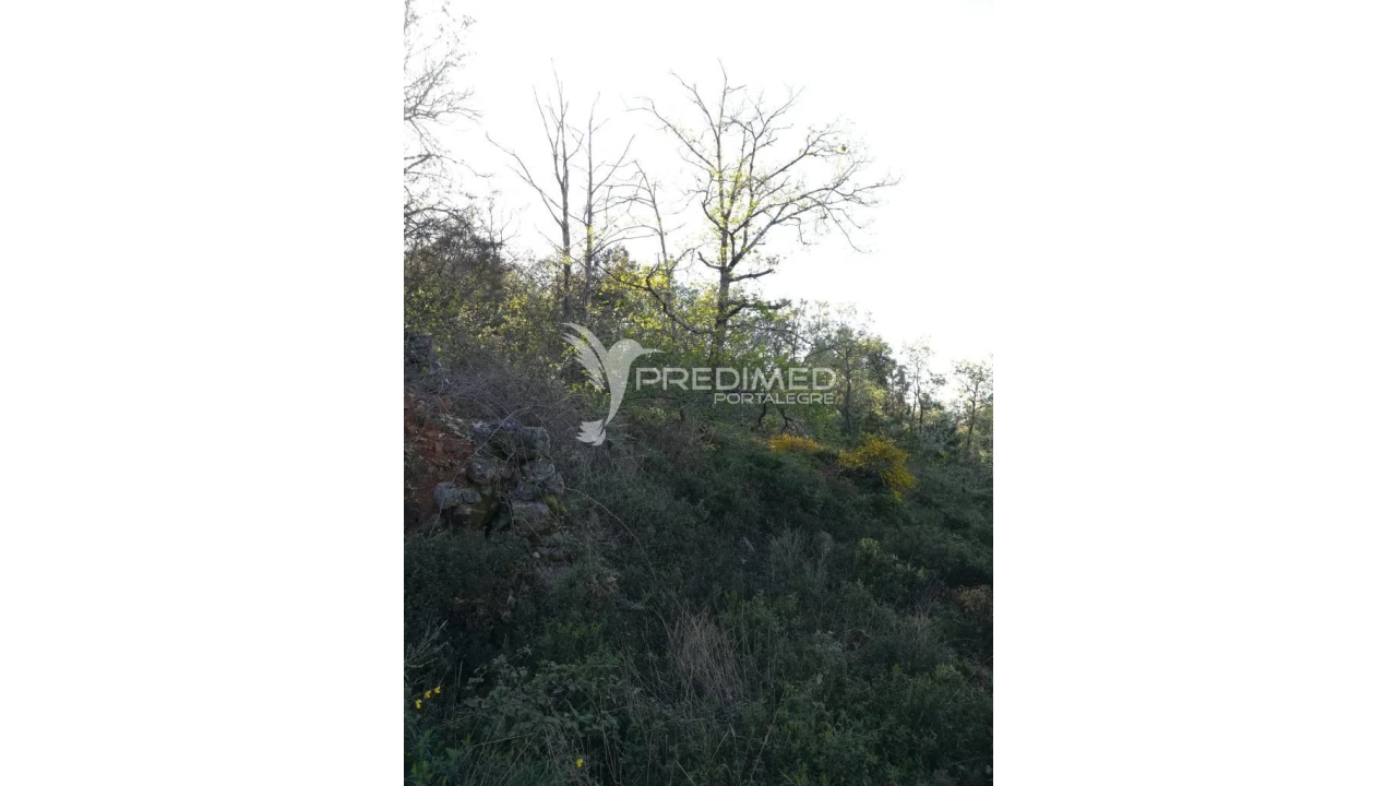 Terreno para Venda em Santa Maria da Devesa Foto 9
