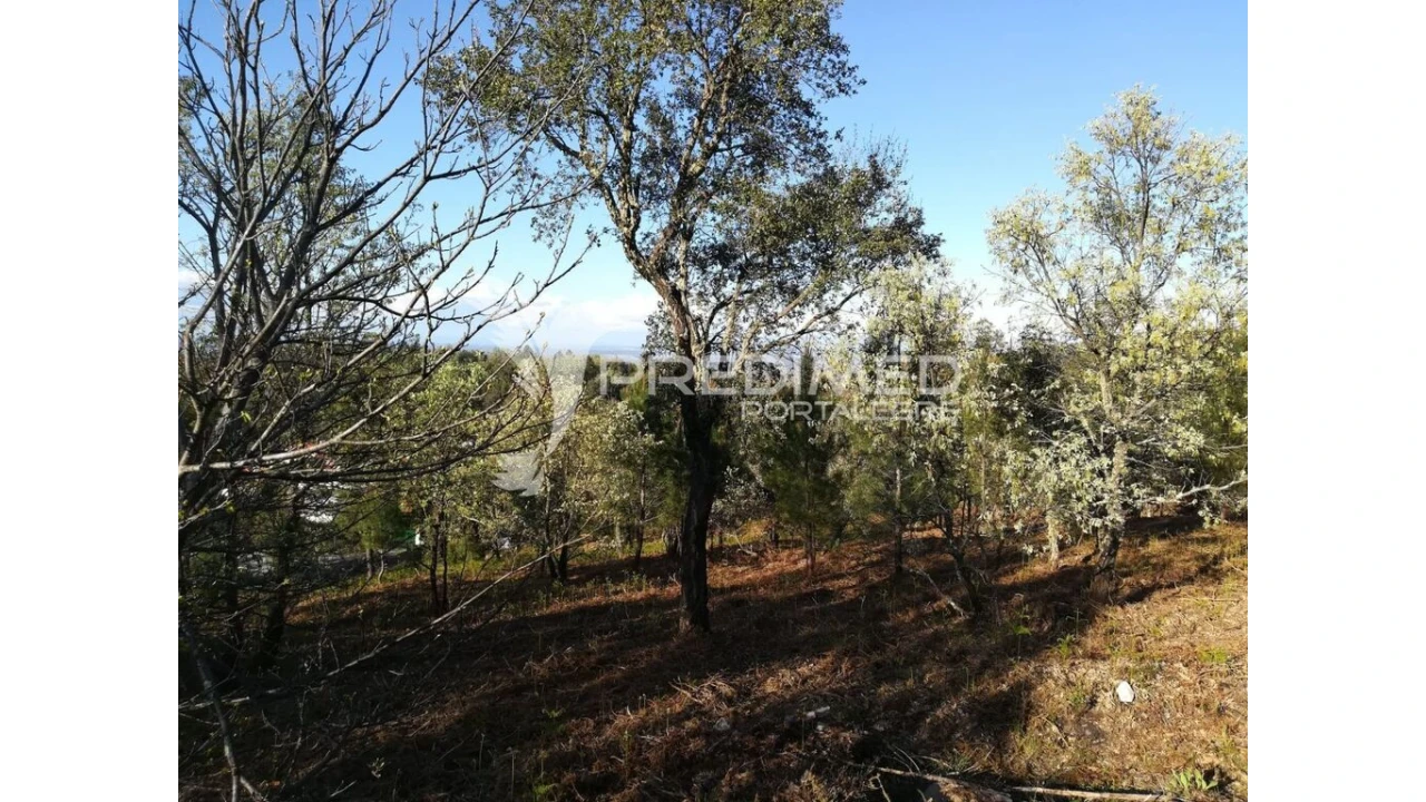 Terreno para Venda em Santa Maria da Devesa Foto 8