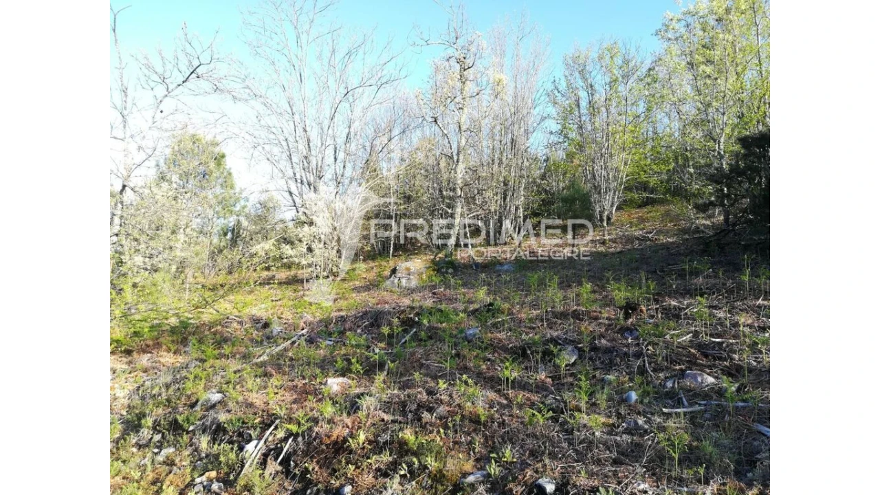 Terreno para Venda em Santa Maria da Devesa Foto 2