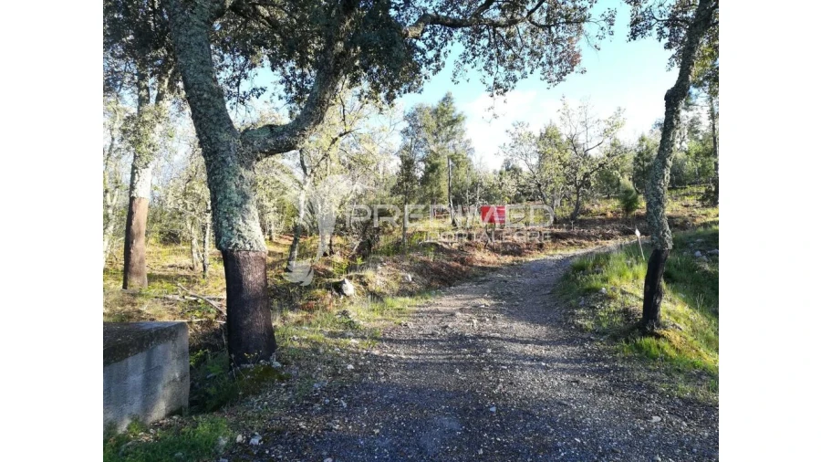 Terreno para Venda em Santa Maria da Devesa Foto 1