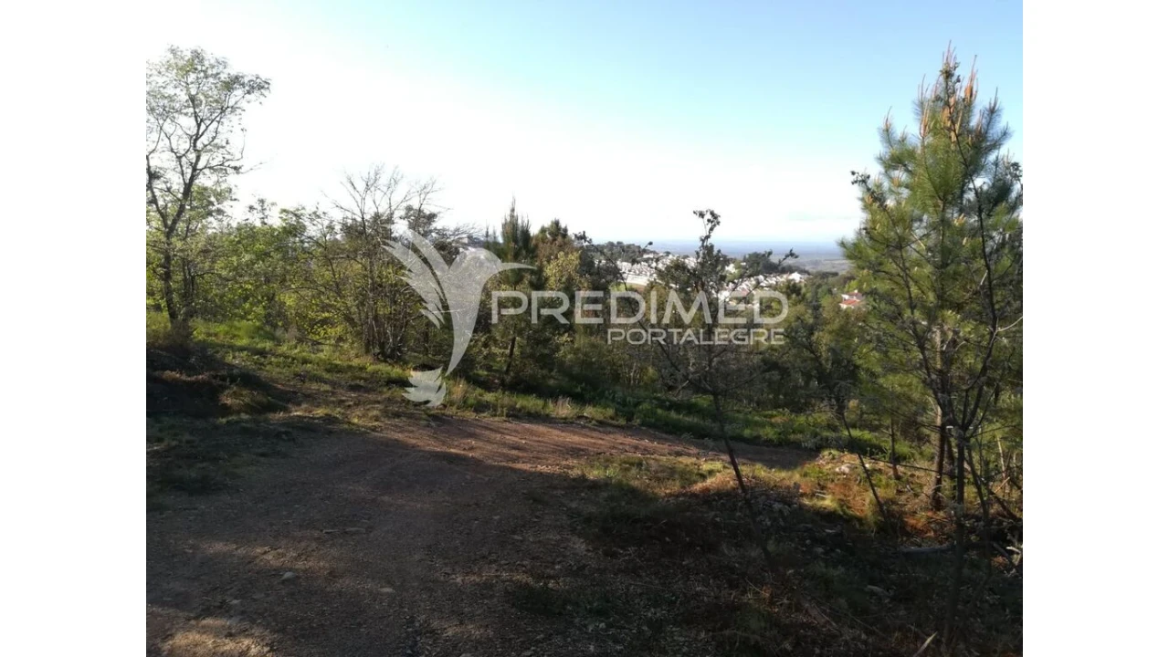 Terreno para Venda em Santa Maria da Devesa Foto 13
