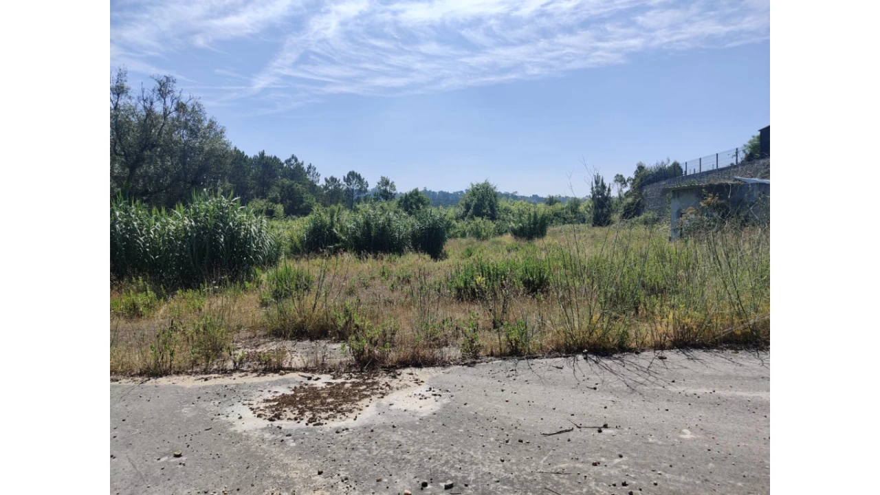 Terreno para Venda em Antuzede e Vil de Matos Foto 7