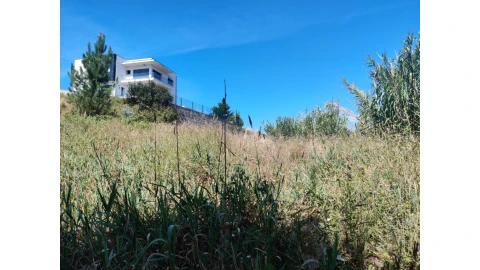 Terreno para Venda em Antuzede e Vil de Matos