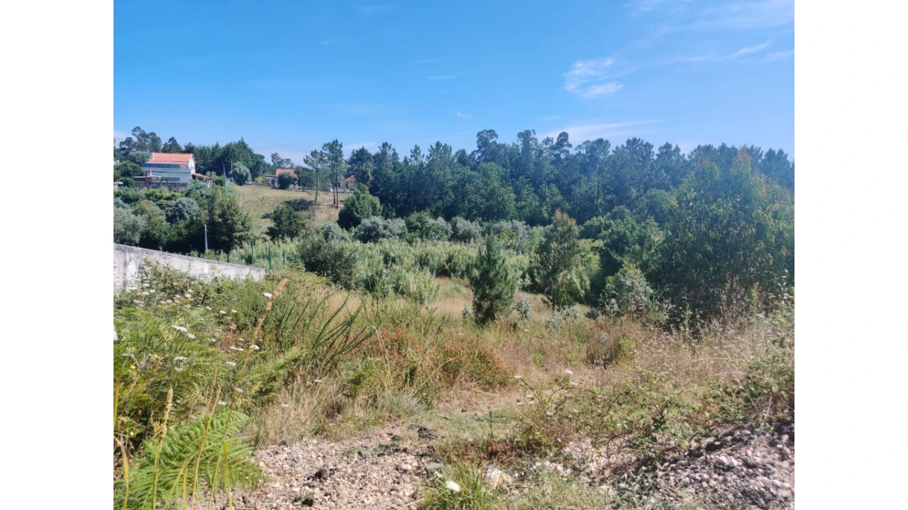 Terreno para Venda em Antuzede e Vil de Matos Foto 1