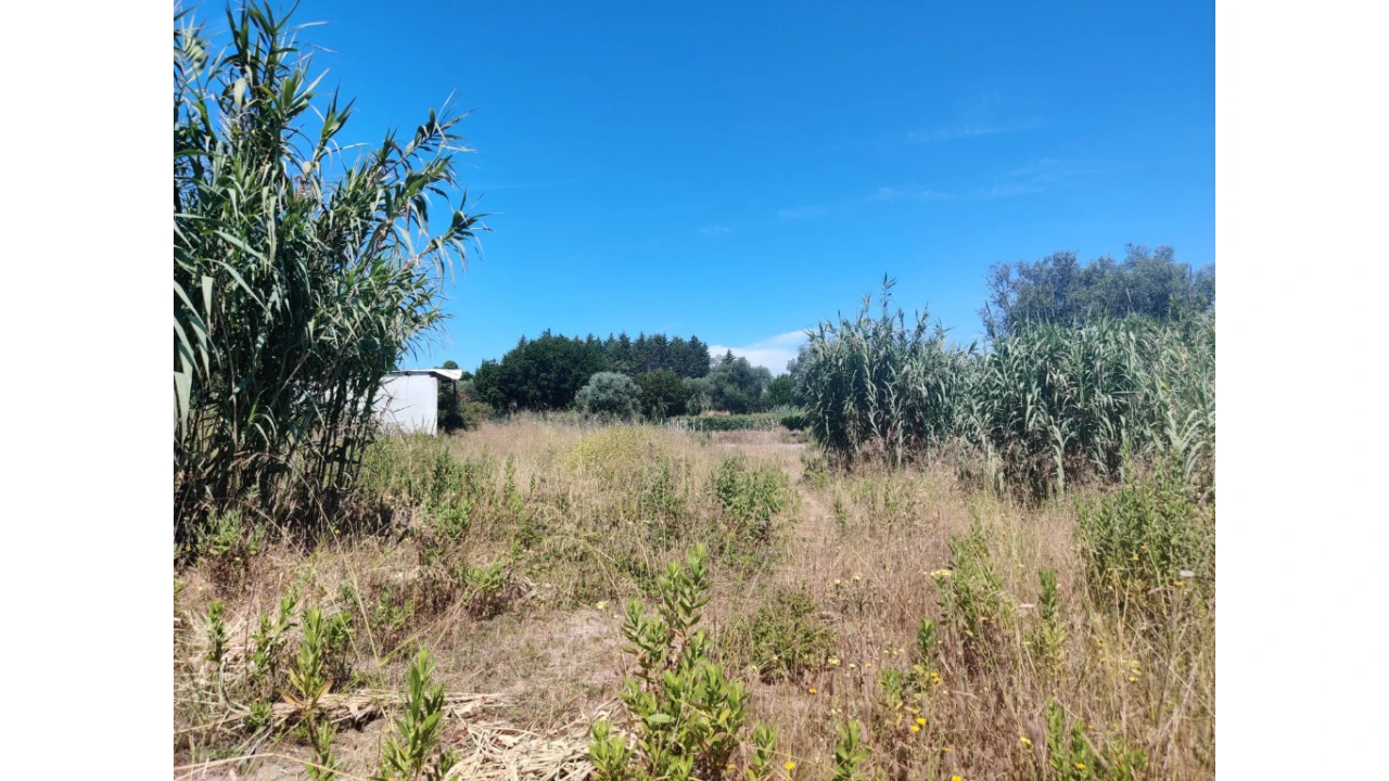 Terreno para Venda em Antuzede e Vil de Matos Foto 3