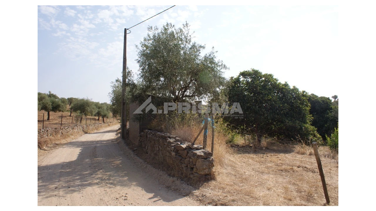 Terreno para Venda em Escalos de Baixo e Mata Foto 12