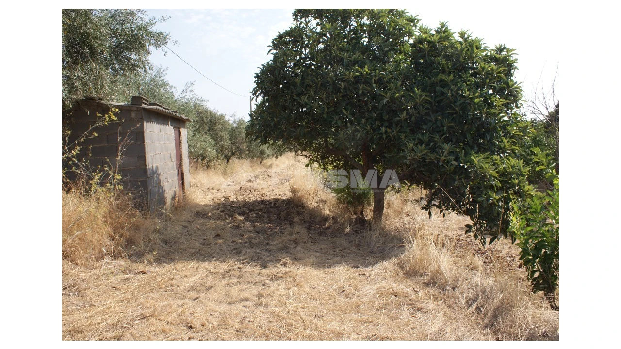 Terreno para Venda em Escalos de Baixo e Mata Foto 3
