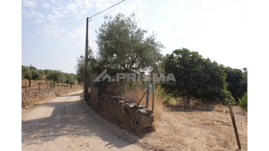 Terreno para Venda em Escalos de Baixo e Mata Foto 12