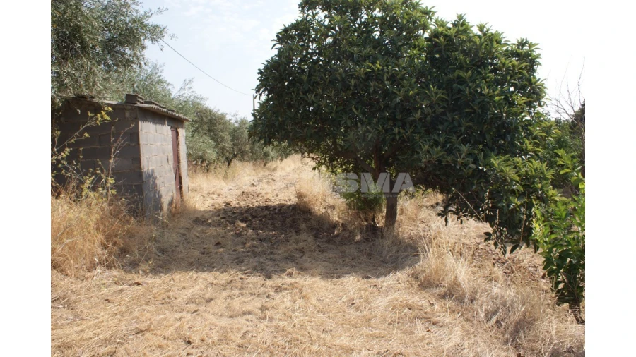 Terreno para Venda em Escalos de Baixo e Mata Foto 3