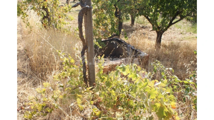 Terreno para Venda em Escalos de Baixo e Mata Foto 10