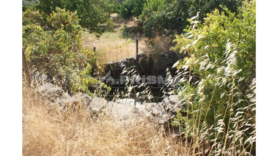 Terreno para Venda em Escalos de Baixo e Mata Foto 4