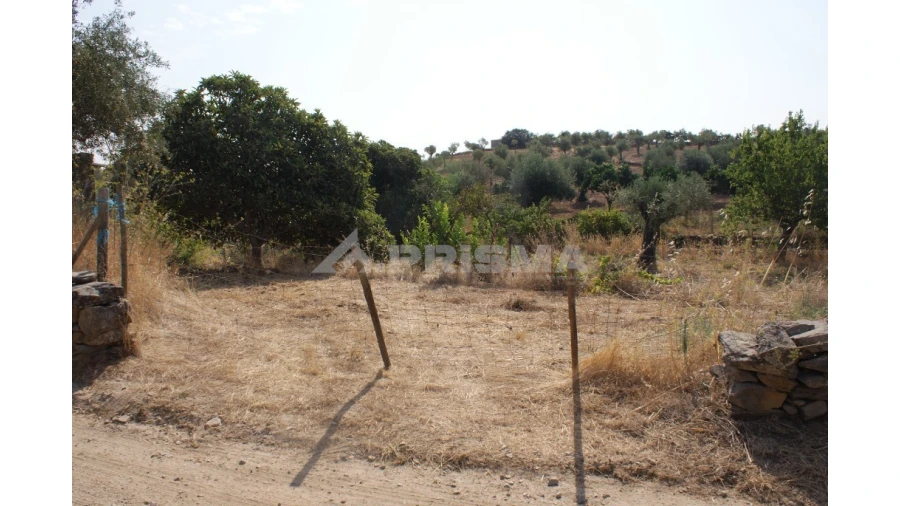 Terreno para Venda em Escalos de Baixo e Mata Foto 11