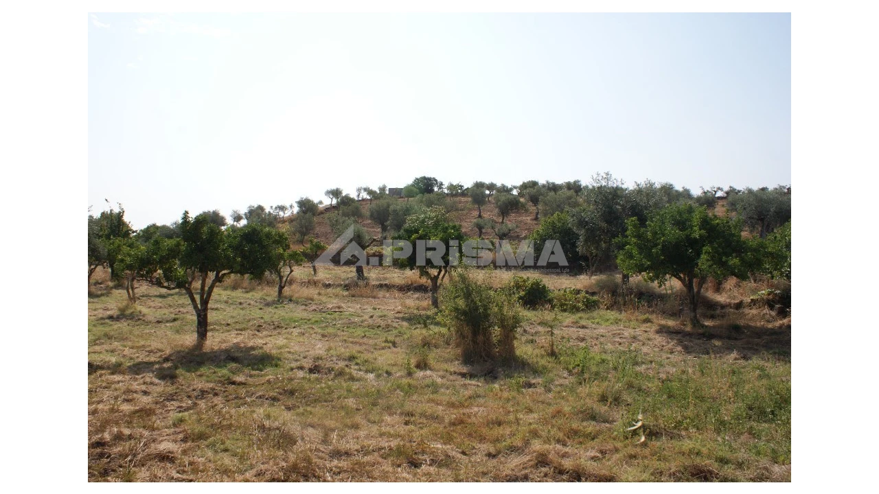 Terreno para Venda em Escalos de Baixo e Mata Foto 1