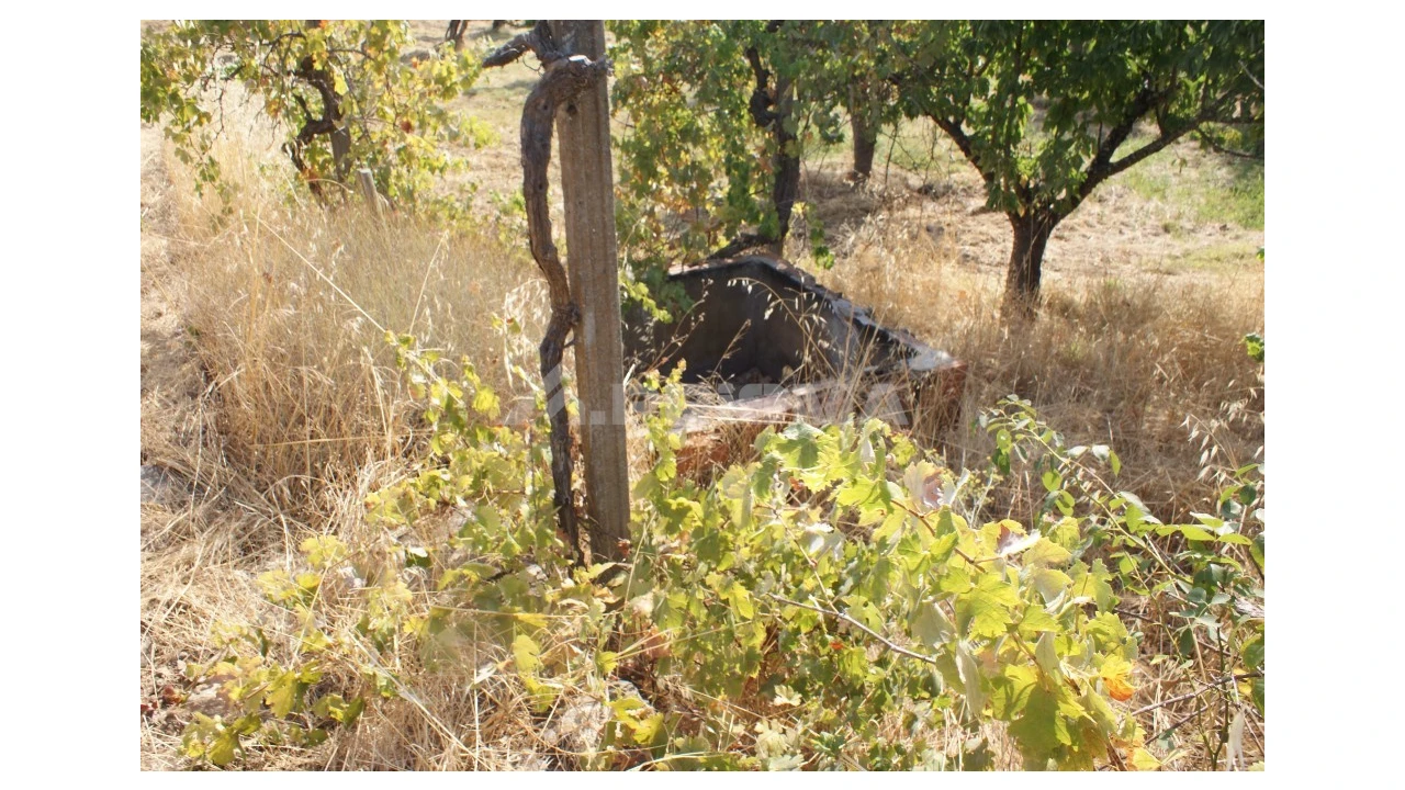 Terreno para Venda em Escalos de Baixo e Mata Foto 10