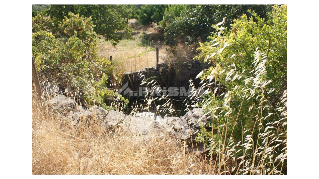 Terreno para Venda em Escalos de Baixo e Mata Foto 4