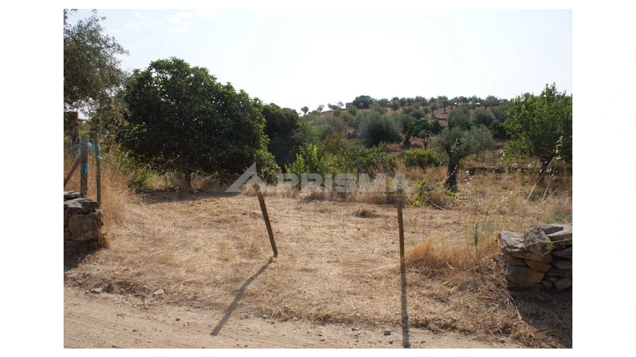 Terreno para Venda em Escalos de Baixo e Mata Foto 11