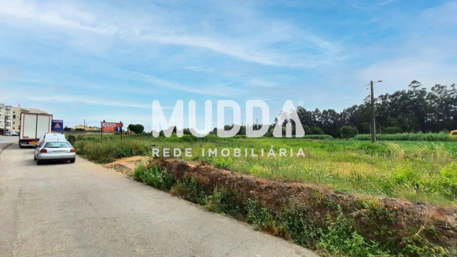 Terreno para Venda em Ovar, São João, Arada e São Vicente de Pereira Jusã Foto 5