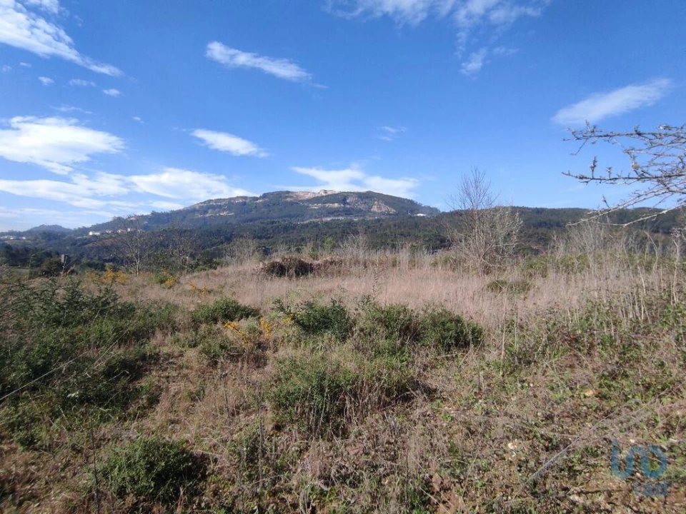 Terreno para Venda em Bárrio e Cepões Foto 1