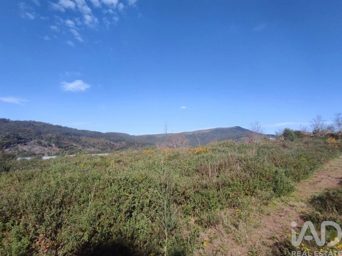 Terreno para Venda em Bárrio e Cepões Foto 30