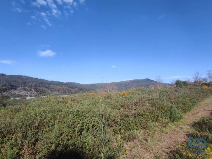 Terreno para Venda em Bárrio e Cepões Foto 5