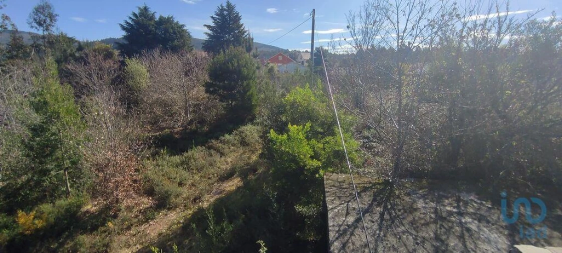 Terreno para Venda em Bárrio e Cepões Foto 12