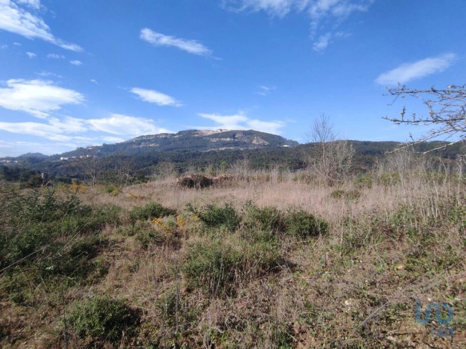Terreno para Venda em Bárrio e Cepões