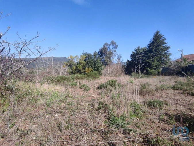Terreno para Venda em Bárrio e Cepões Foto 3