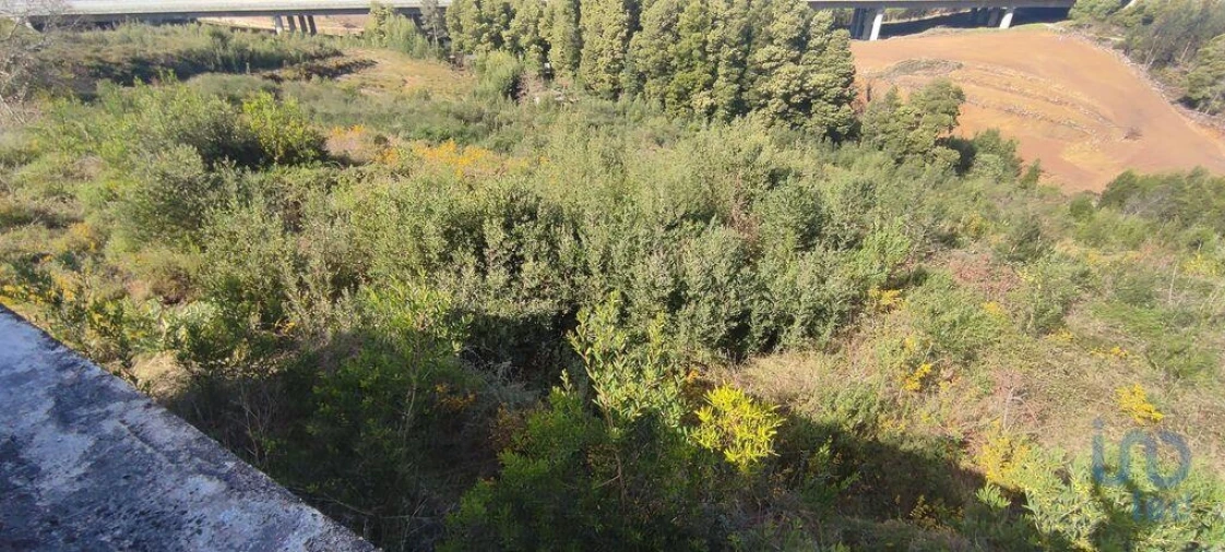 Terreno para Venda em Bárrio e Cepões Foto 7