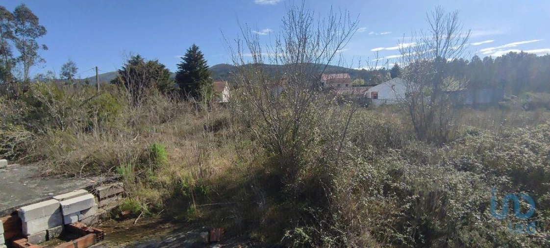 Terreno para Venda em Bárrio e Cepões Foto 10