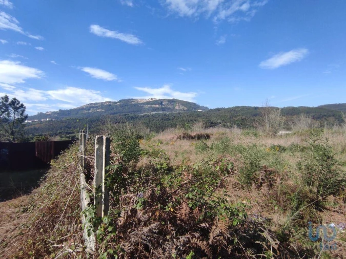 Terreno para Venda em Bárrio e Cepões Foto 4