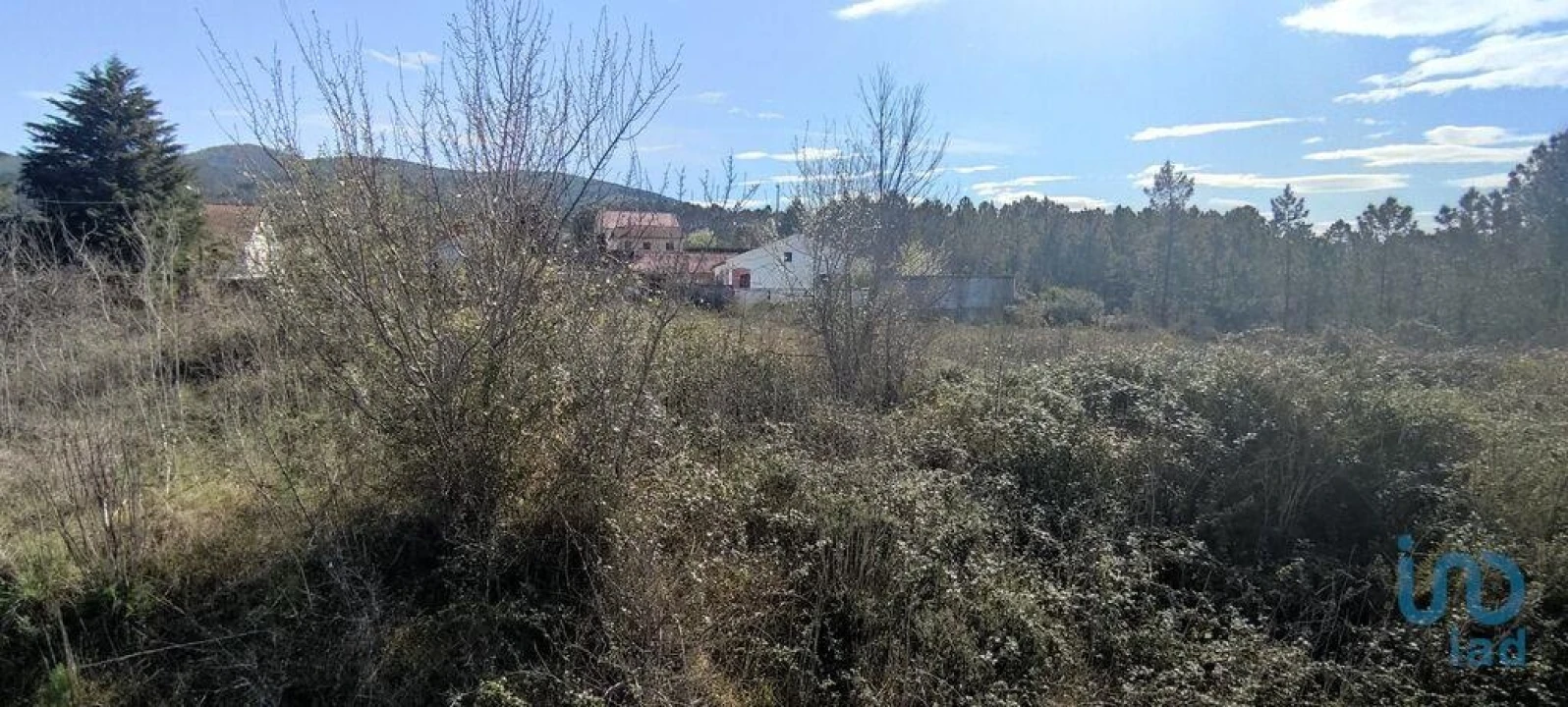 Terreno para Venda em Bárrio e Cepões Foto 9