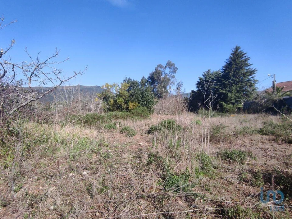 Terreno para Venda em Bárrio e Cepões Foto 3