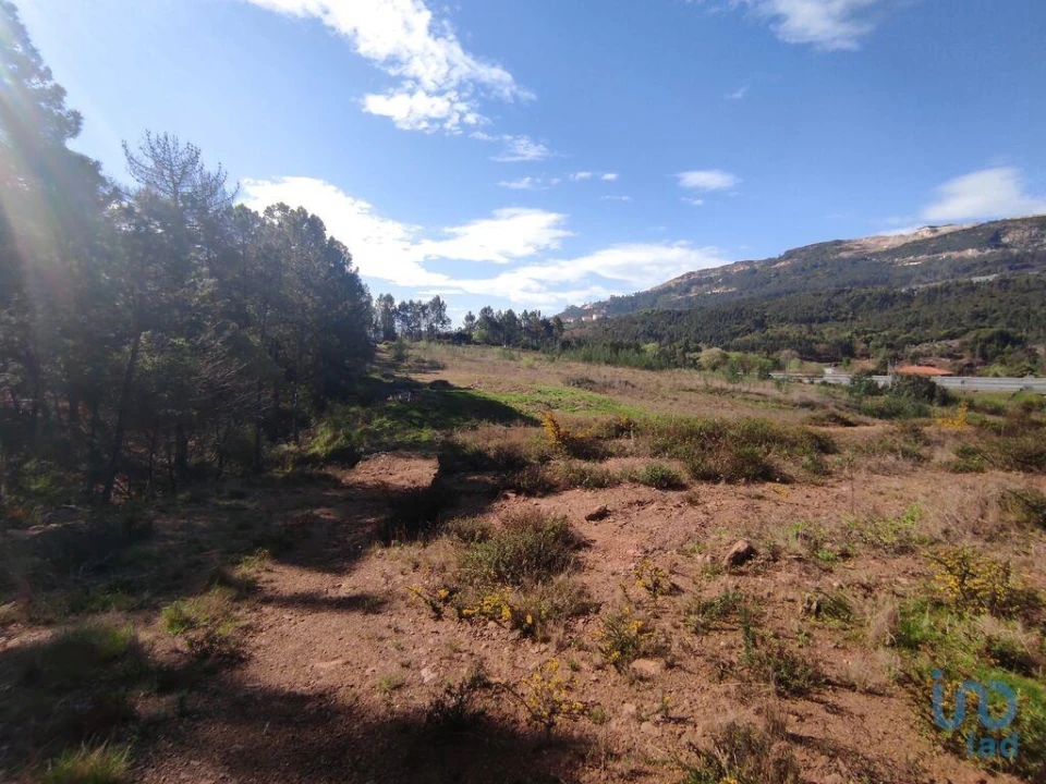 Terreno para Venda em Bárrio e Cepões Foto 6