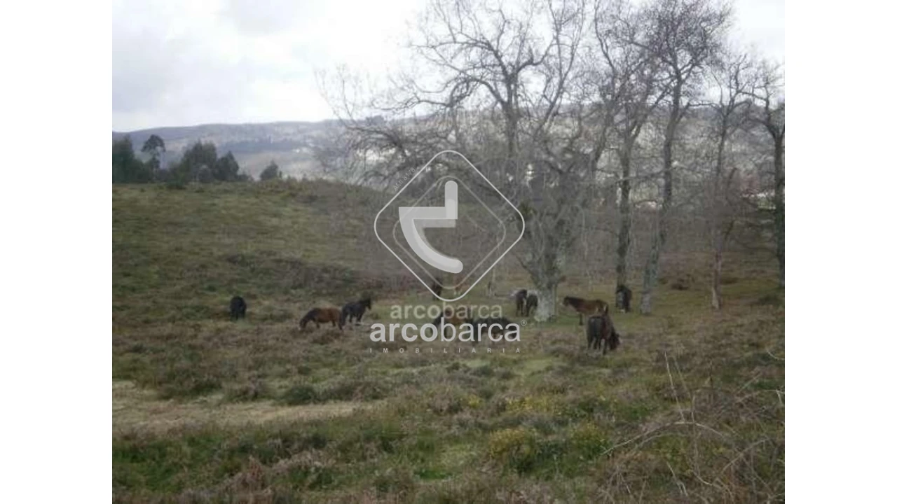 Terreno para Venda em Miranda Foto 7