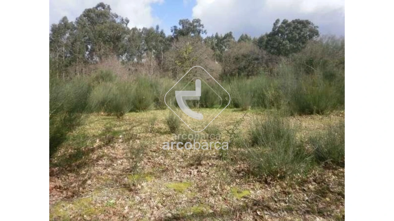 Terreno para Venda em Miranda Foto 5