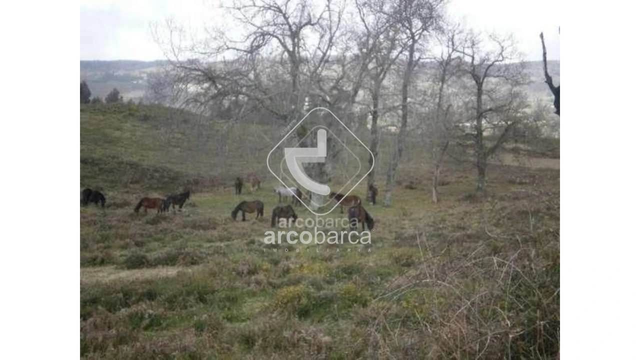 Terreno para Venda em Miranda Foto 2