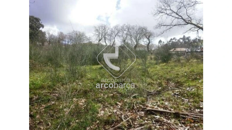 Terreno para Venda em Miranda Foto 4