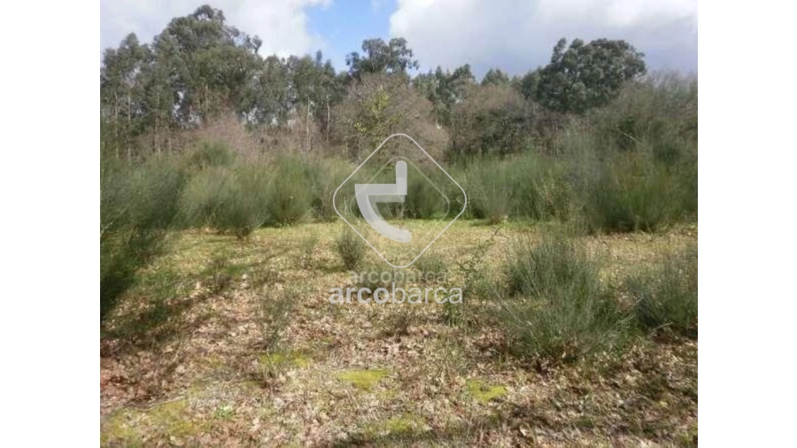 Terreno para Venda em Miranda Foto 5