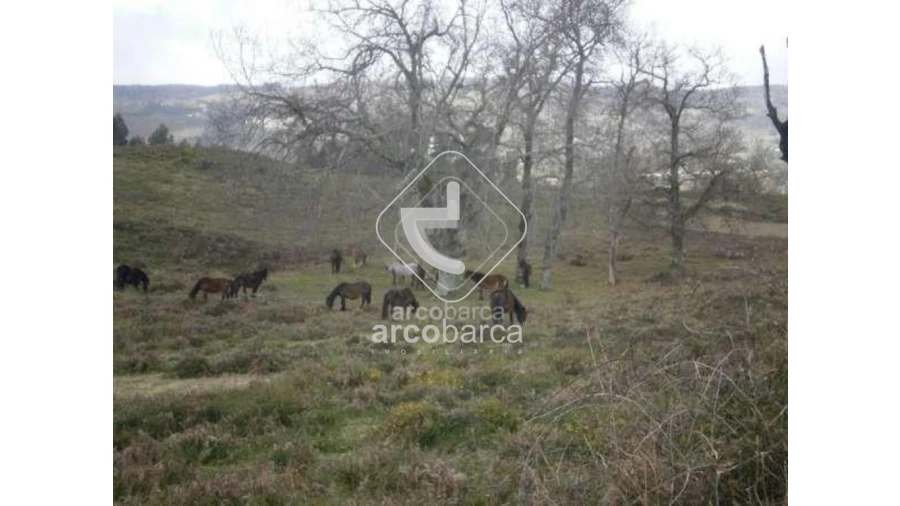 Terreno para Venda em Miranda Foto 2
