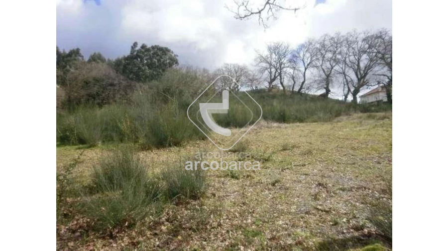 Terreno para Venda em Miranda Foto 6