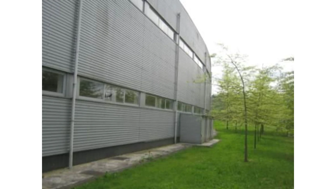 Armazém para Venda em Ronfe Foto 3