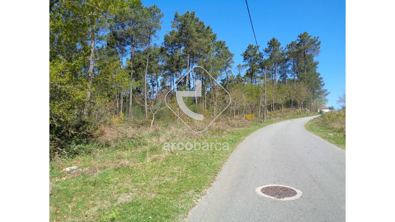 Terreno para Venda em Cossourado e Linhares Foto 5