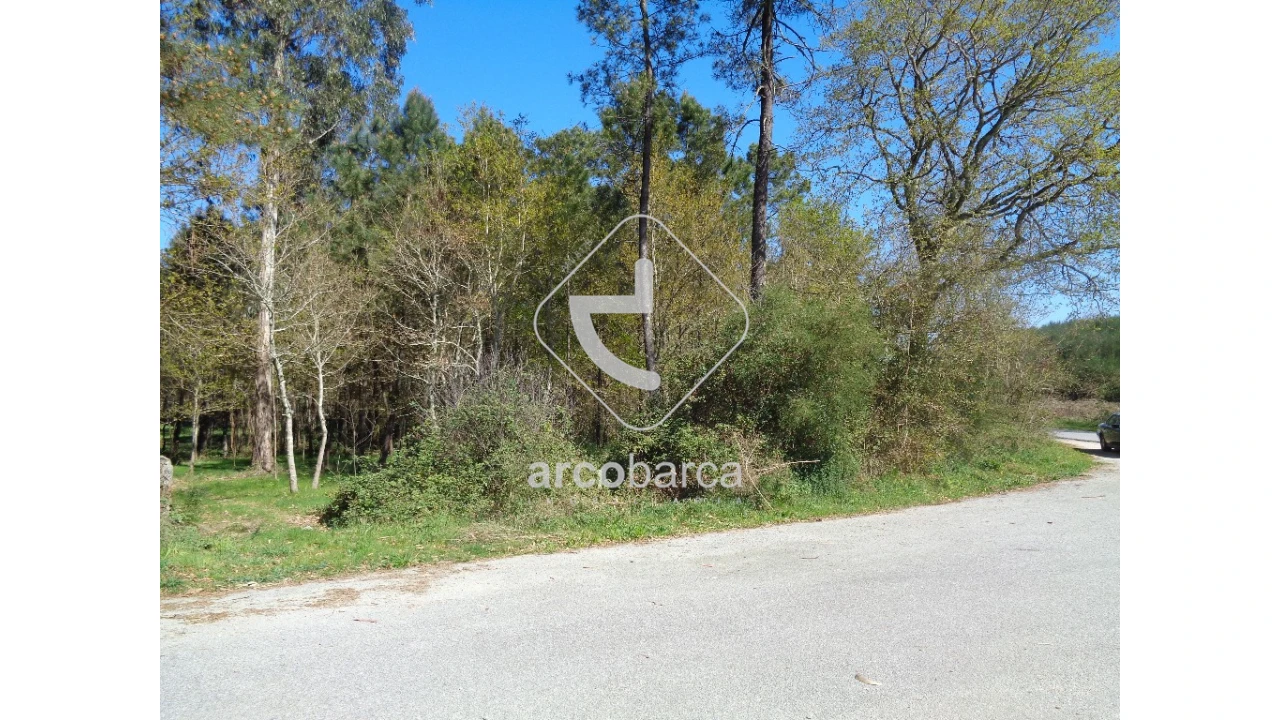 Terreno para Venda em Cossourado e Linhares Foto 4