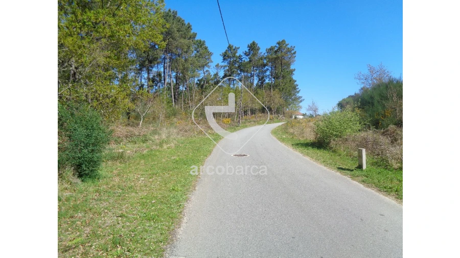 Terreno para Venda em Cossourado e Linhares Foto 3