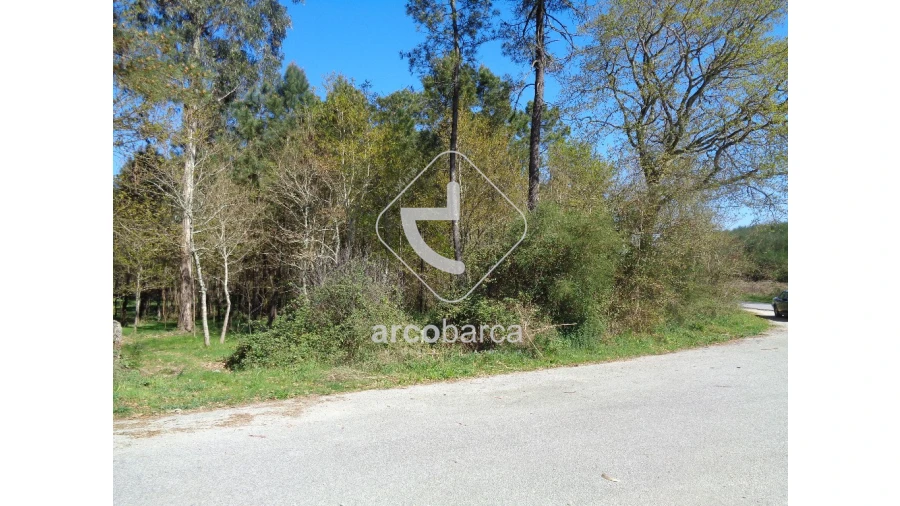 Terreno para Venda em Cossourado e Linhares Foto 4